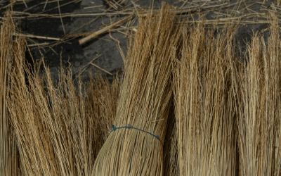 Le saviez-vous ? Grisolles était la capitale européenne du balai