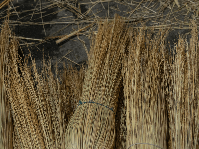 Le saviez-vous ? Grisolles était la capitale européenne du balai