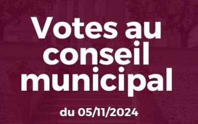 Votes au Conseil municipal de Grisolles du 05 11 2024