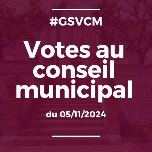 Votes au Conseil municipal de Grisolles du 05 11 2024