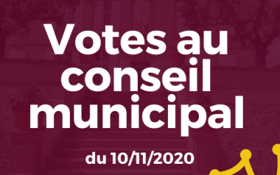Votes au Conseil municipal du 10 novembre 2020