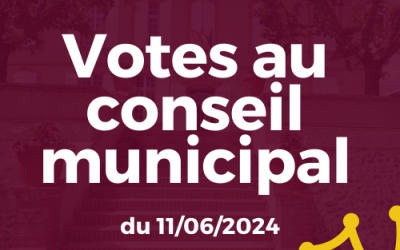 Votes au Conseil municipal de Grisolles du 11 06 2024